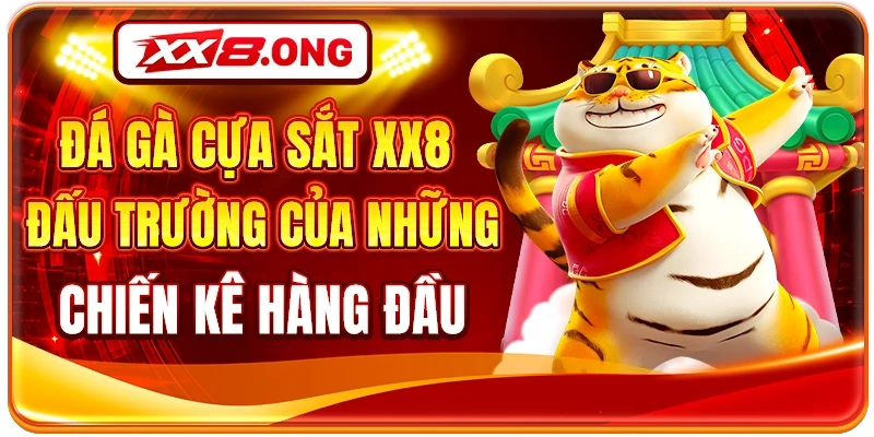 Đá Gà Cựa Sắt XX8 - Đấu Trường Của Những Chiến Kê Hàng Đầu