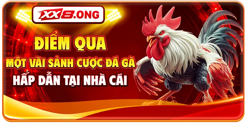 Điểm qua một vài sảnh cược đá gà hấp dẫn tại nhà cái