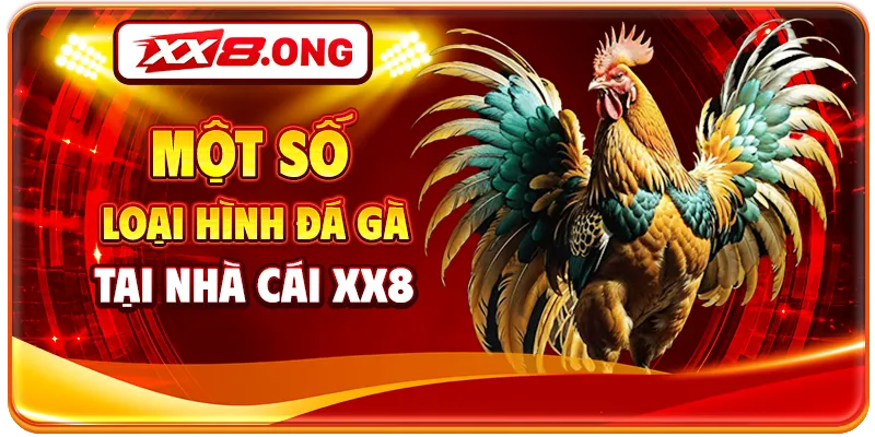 Một số loại hình đá gà tại nhà cái XX8