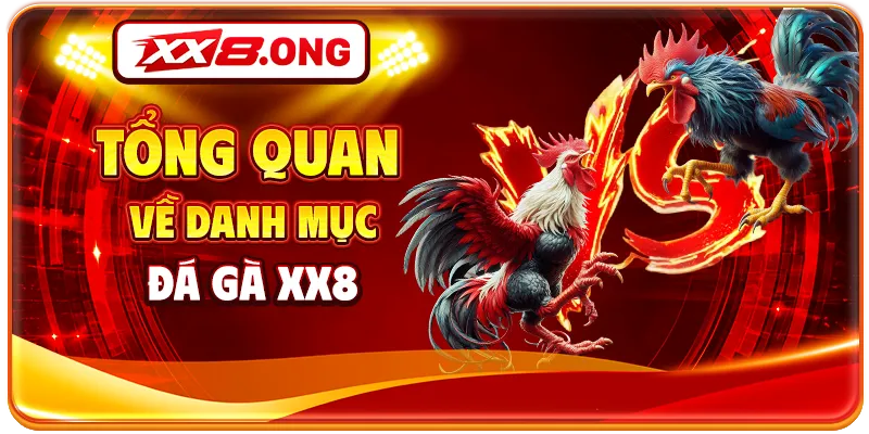Tổng quan về danh mục đá gà XX8